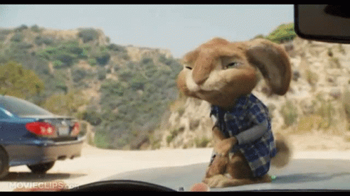 Hip Easter Bunny GIF - Hip Easter Bunny Jelly Beans GIFs