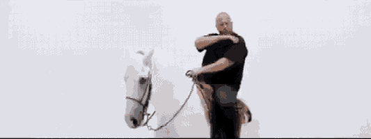 a man is riding a white horse with a bridle .
