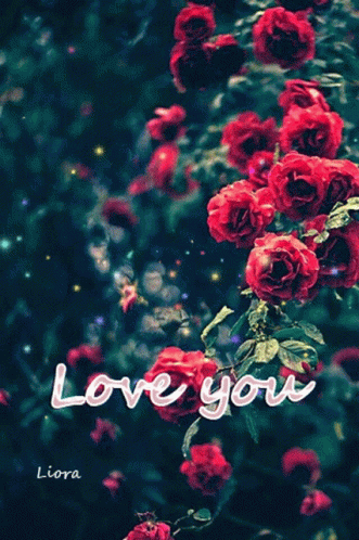 Love You Rose GIF