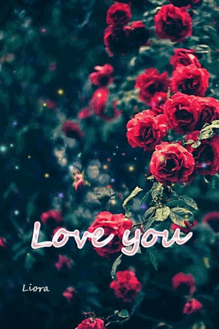 a bunch of red roses with the words love you written on it