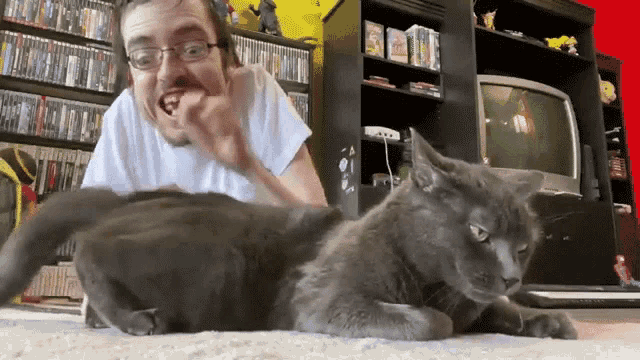 Patting Cat Ricky Berwick GIF - Patting Cat Ricky Berwick Slap His Cheeks GIFs