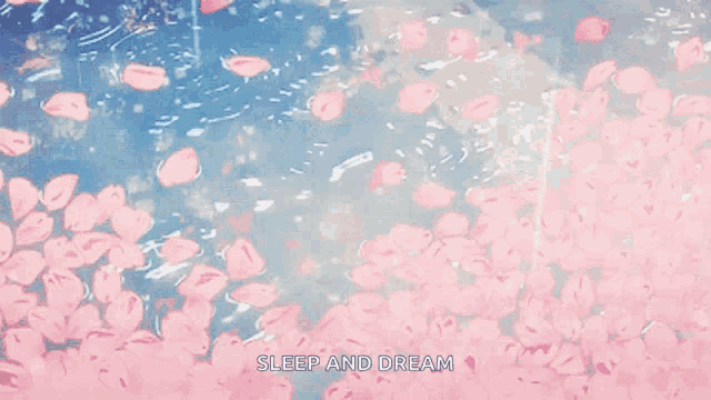a bunch of pink petals are falling into the water
