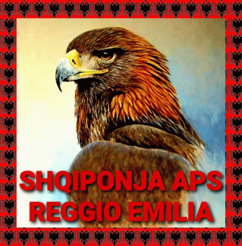 Shqiponja Aps Reggio Emilia GIF - Shqiponja Aps Reggio Emilia GIFs
