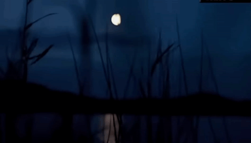 ночь луна GIF - ночь луна озеро GIFs