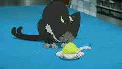 Blue Exorcist Excited GIF - Blue Exorcist Excited Demon Cat GIFs