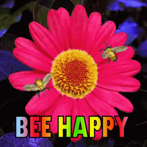 Bee Happy Be Happy GIF - Bee Happy Be Happy Bees GIFs