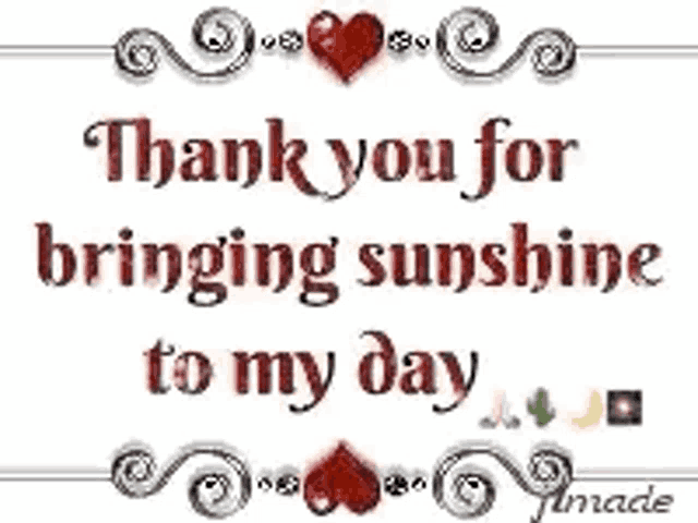 a thank you for bringing sunshine to my day .