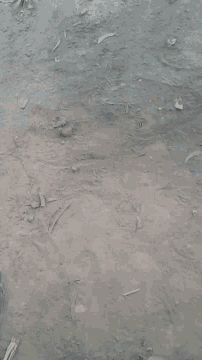 a close up of a dirty concrete surface with a lot of small pieces of wood on it .