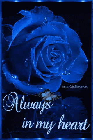 a blue rose with the words always in my heart on it