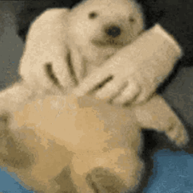 a polar bear puppy is being held by someone