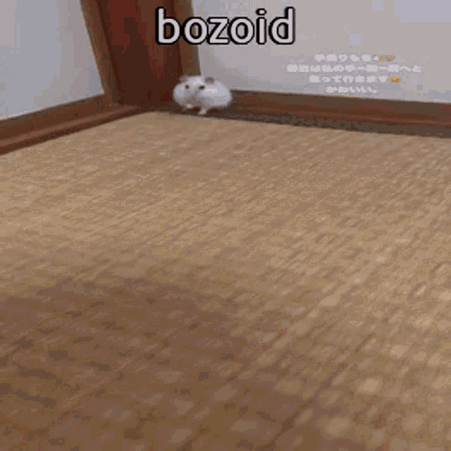 a person is standing next to a white hamster on a mat .