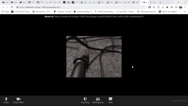 a computer screen shows a picture of a microphone and says room id at the top