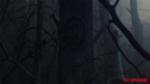 Tree Signs Clues GIF - Tree Signs Clues Hiding GIFs