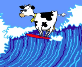 a cow riding a wave on a surfboard