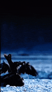 a bird is flying over a body of water with a blue sky in the background