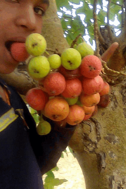 a man is holding a bunch of fruit with his tongue hanging out