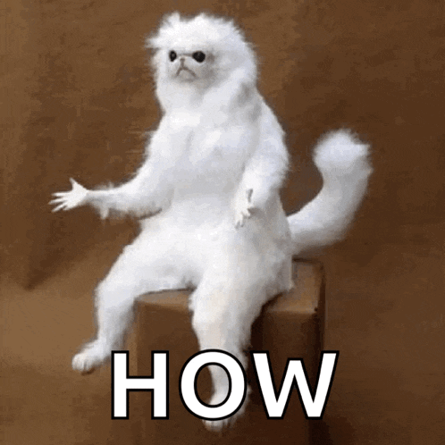 a white stuffed animal cat is sitting on a box with the words `` how '' written on it .