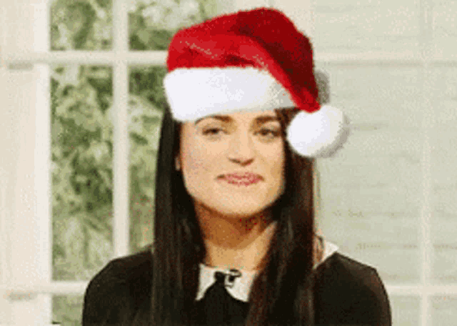 a woman wearing a santa hat looks at the camera .