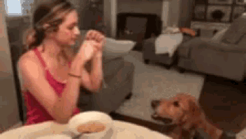 a woman is sitting at a table with a bowl of food and a dog is looking at her .