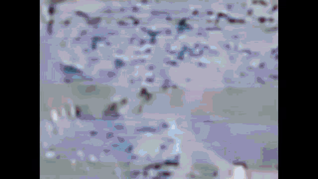 a close up of a purple background with a few white spots on it