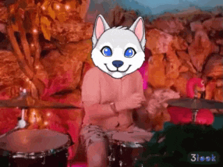 a man playing drums with a husky mask on his head