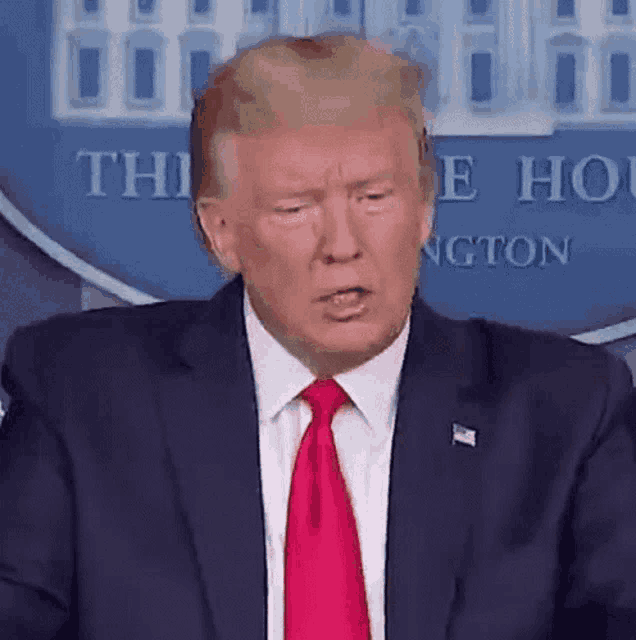 donald trump is wearing a suit and tie while giving a speech .