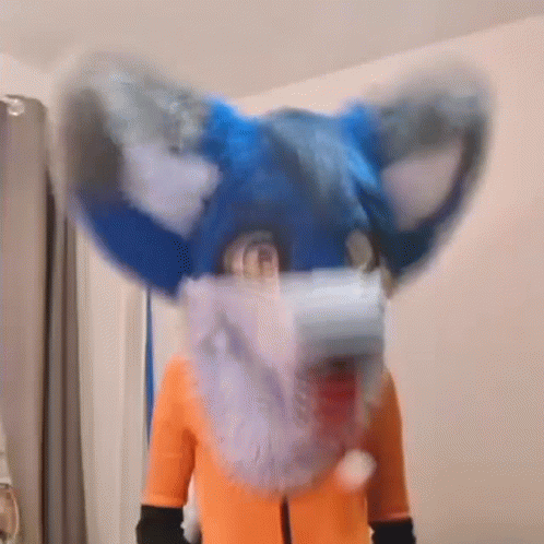 Furry Furry Memes GIF - Furry Furry Memes Fox GIFs