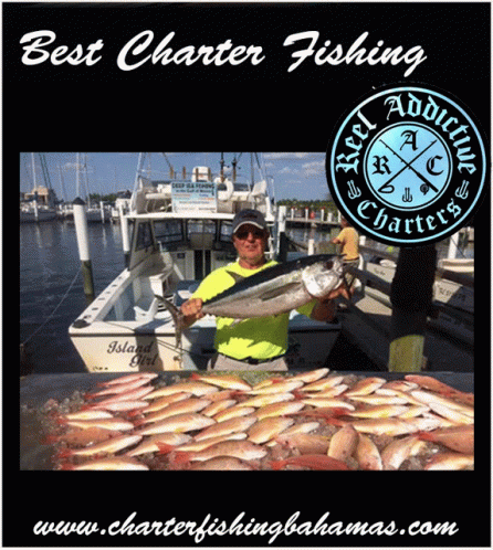 Best Charter Fishing Fishing Trips In Bahamas GIF - Best Charter Fishing Fishing Trips In Bahamas Deep Sea Fishing Bahamas GIFs