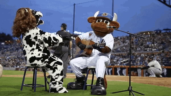 a bull mascot is playing a guitar while a cow mascot sits on a stool