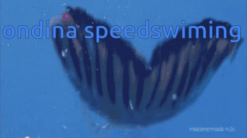 Ondina Speed Swimming Underwater GIF - Ondina Speed Swimming Underwater Swim GIFs