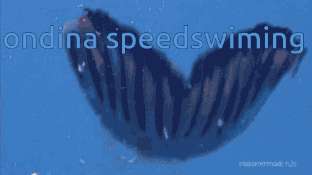 a blue background with the words " ondina speedswimming "