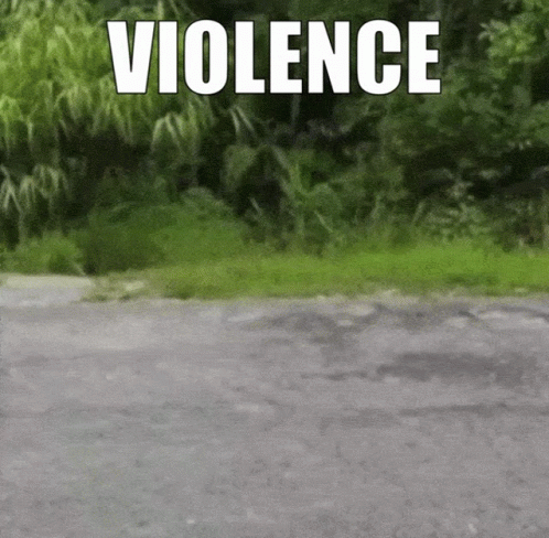 Monkey Violence GIF - Monkey Violence GIFs