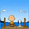 Charlie Brown Snoopy GIF - Charlie Brown Snoopy GIFs