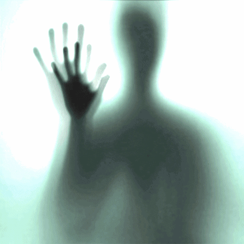 Ghost Haunted House GIF - Ghost Haunted House Shadow Person GIFs