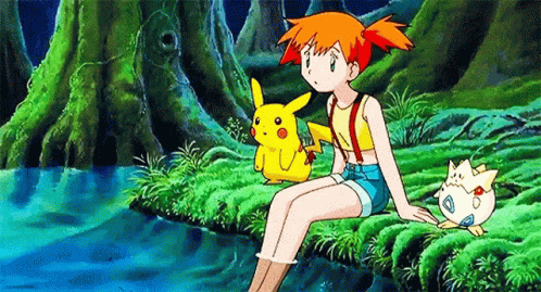 Pokemon Anime GIF - Pokemon Anime GIFs