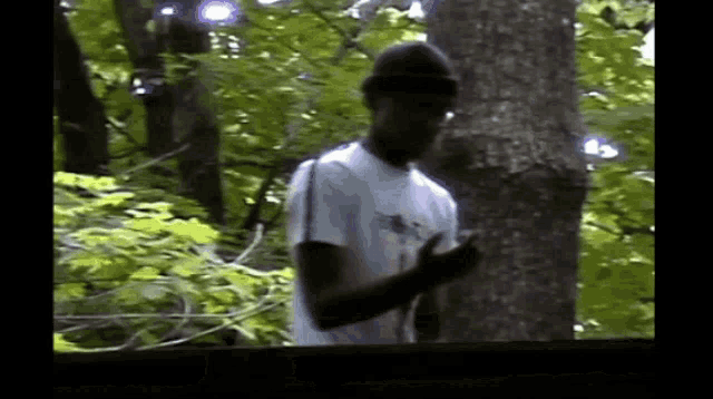 a man wearing a hat and sunglasses is standing next to a tree in a forest .
