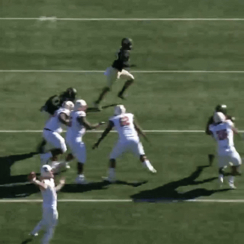 Wake Football Wake Forest GIF - Wake Football Wake Forest Catch GIFs