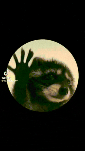 a close up of a dog 's face in a circle with tiktok written on the bottom