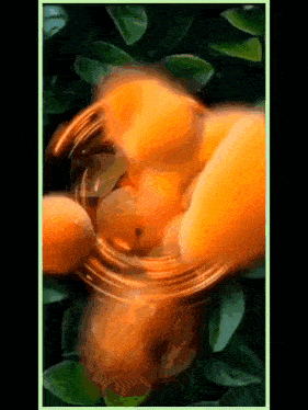 a painting of oranges being squeezed with a green frame