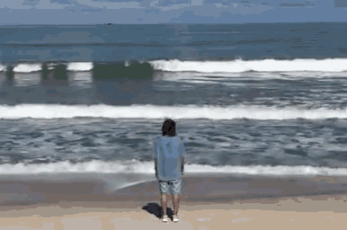 a person is standing on a beach looking at the ocean .