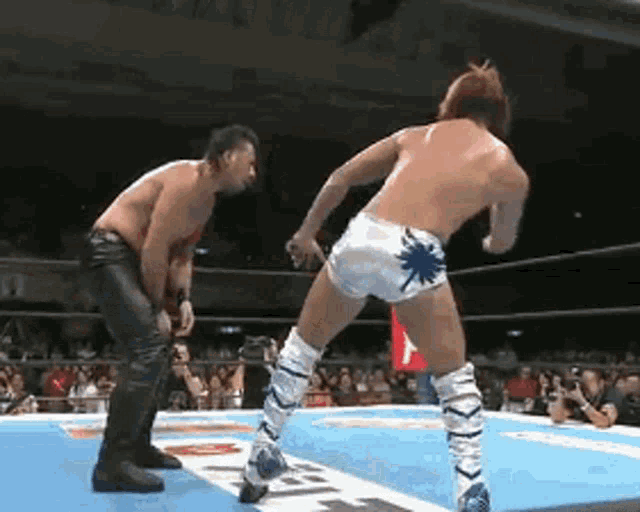 two men are wrestling in a wrestling ring with a crowd in the background .