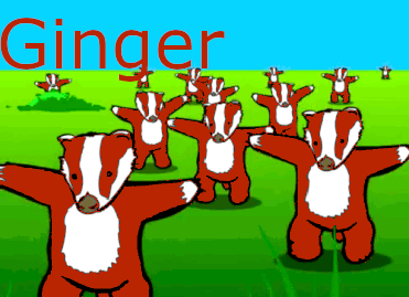 Ginger Badger GIF - Ginger Badger GIFs