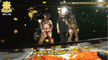 a woman in a wrestling ring with the words marigold fields forever