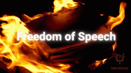 Freedom Of Speech Free Speech GIF - Freedom Of Speech Free Speech Thierry Baudet GIFs