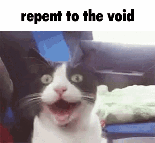 The Void Beckons Funny Cat GIF - The Void Beckons Funny Cat GIFs