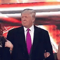Trump Donald Trump GIF - Trump Donald Trump Wwe Entrance GIFs