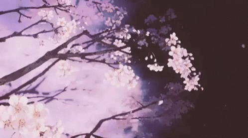 Sakura Trees GIF - Sakura Trees Tree GIFs