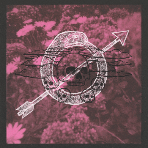 a drawing of a skull with an arrow through it and flowers in the background