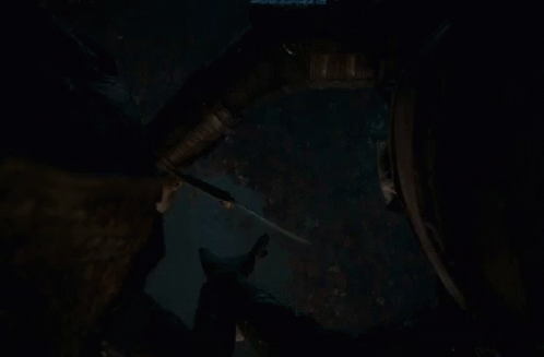 Stark Arya King GIF - Stark Arya King Game Of Thrones GIFs