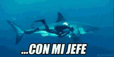 a scuba diver is swimming next to a shark with the words con mi jefe written on the bottom